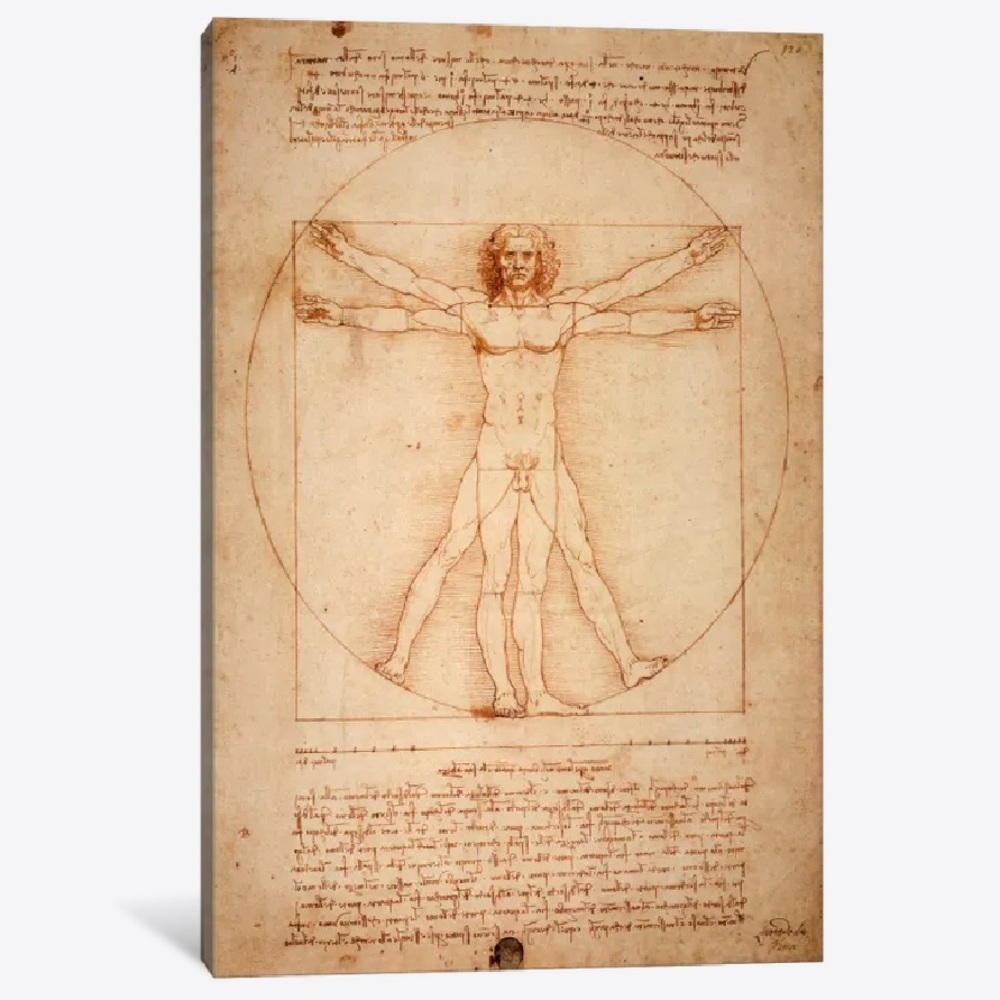 Vitruvian Man, c. 1490; Leonardo da Vinci - Canvas Print 24x36